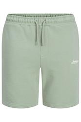 JACK & JONES Big & Tall Iceberg Green 'Beau' T-Shirt & Short Set | BadRhino 5