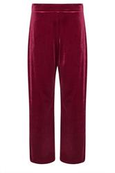 PixieGirl Petite Women's Burgundy Red Velour Wide Leg Trousers | PixieGirl 5