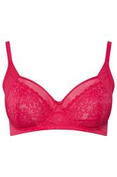 YOURSET 2 PACK Plus Size Pink & Black Lace Mesh Underwired Bras | Yours Clothing 9