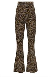 LTS Tall Brown Leopard Print Flared Leggings | Long Tall Sally 5
