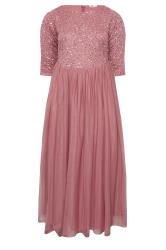 LUXE Curve Dark Pink Sequin Hand Embellished Maxi Dress