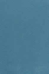 D555 Big & Tall Teal Blue Muscle Vest | BadRhino 4