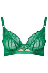 PLAYFUL PROMISES Plus Size Green Lace Embroidered Underwired Bra | Yours Clothing 3