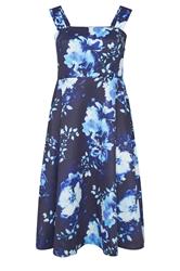 YOURS LONDON Curve Blue Floral Skater Dress
