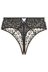 PLAYFUL PROMISES Black Floral Embroidered High Waisted Thong 6