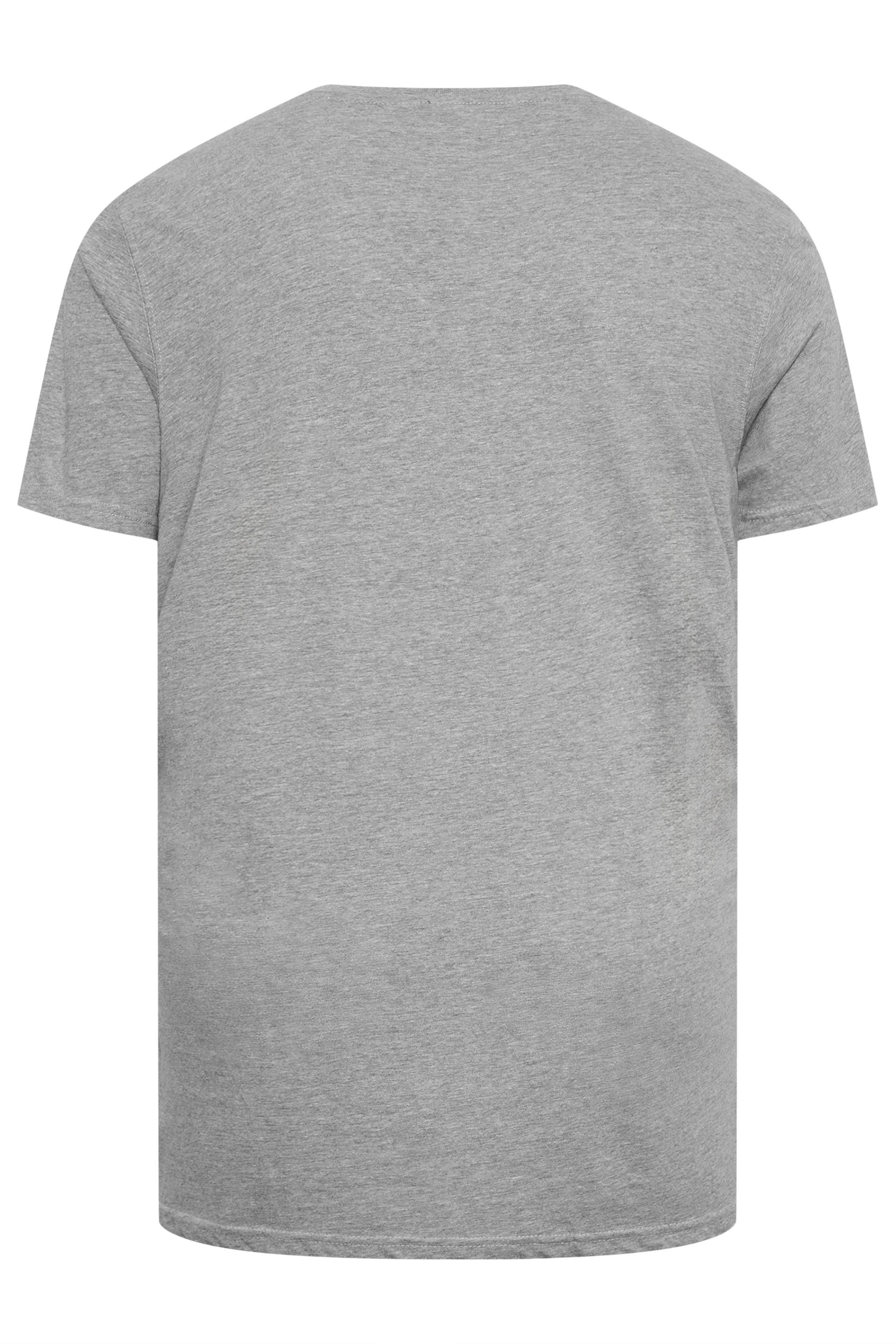 D555 Big & Tall Grey Premium V-Neck Combed Cotton T-Shirt | D555 4