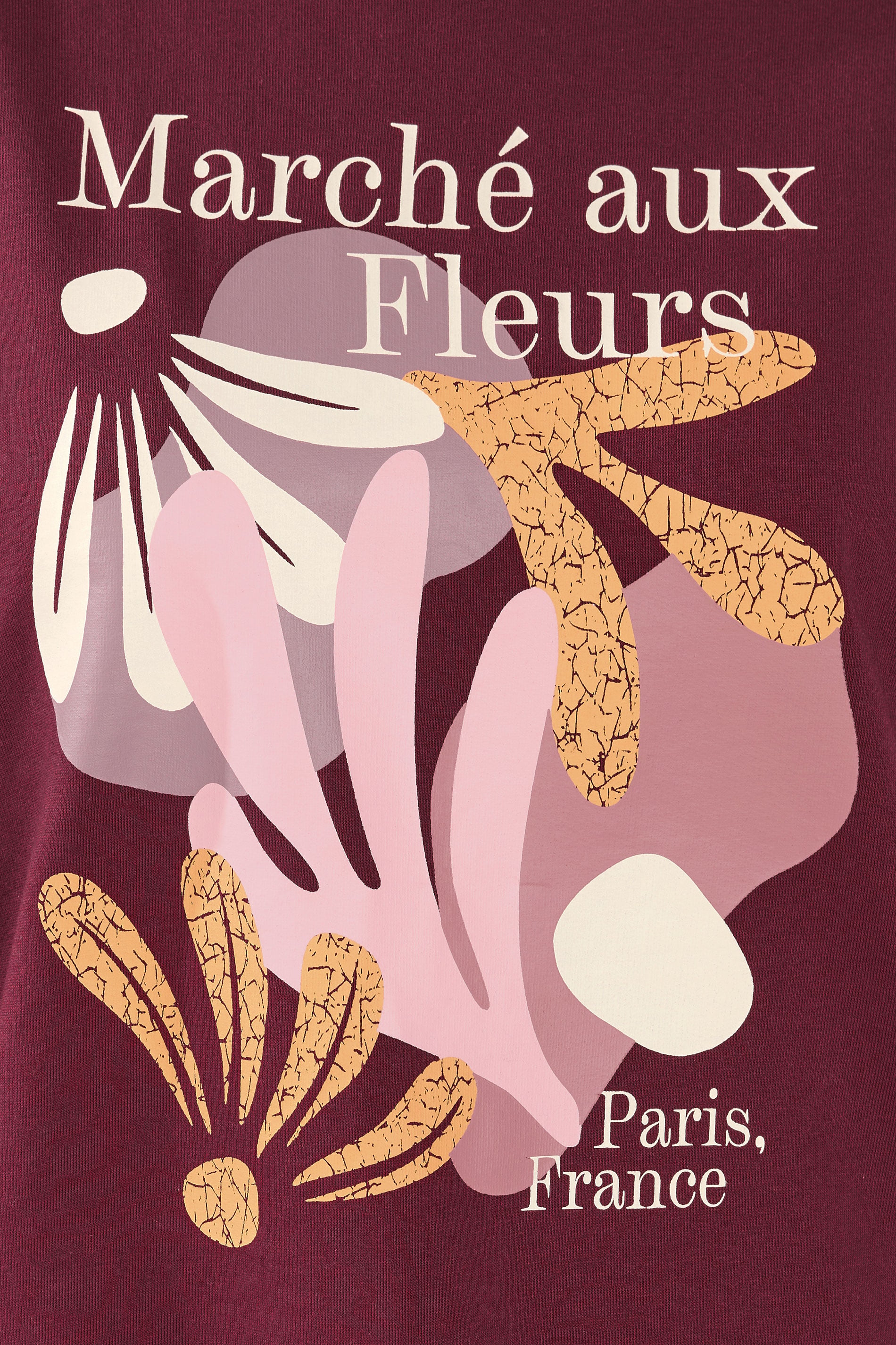 YOURS Plus Size Burgundy Red 'Marche Aux Fleurs' Slogan Sweatshirt | Yours Clothing 4