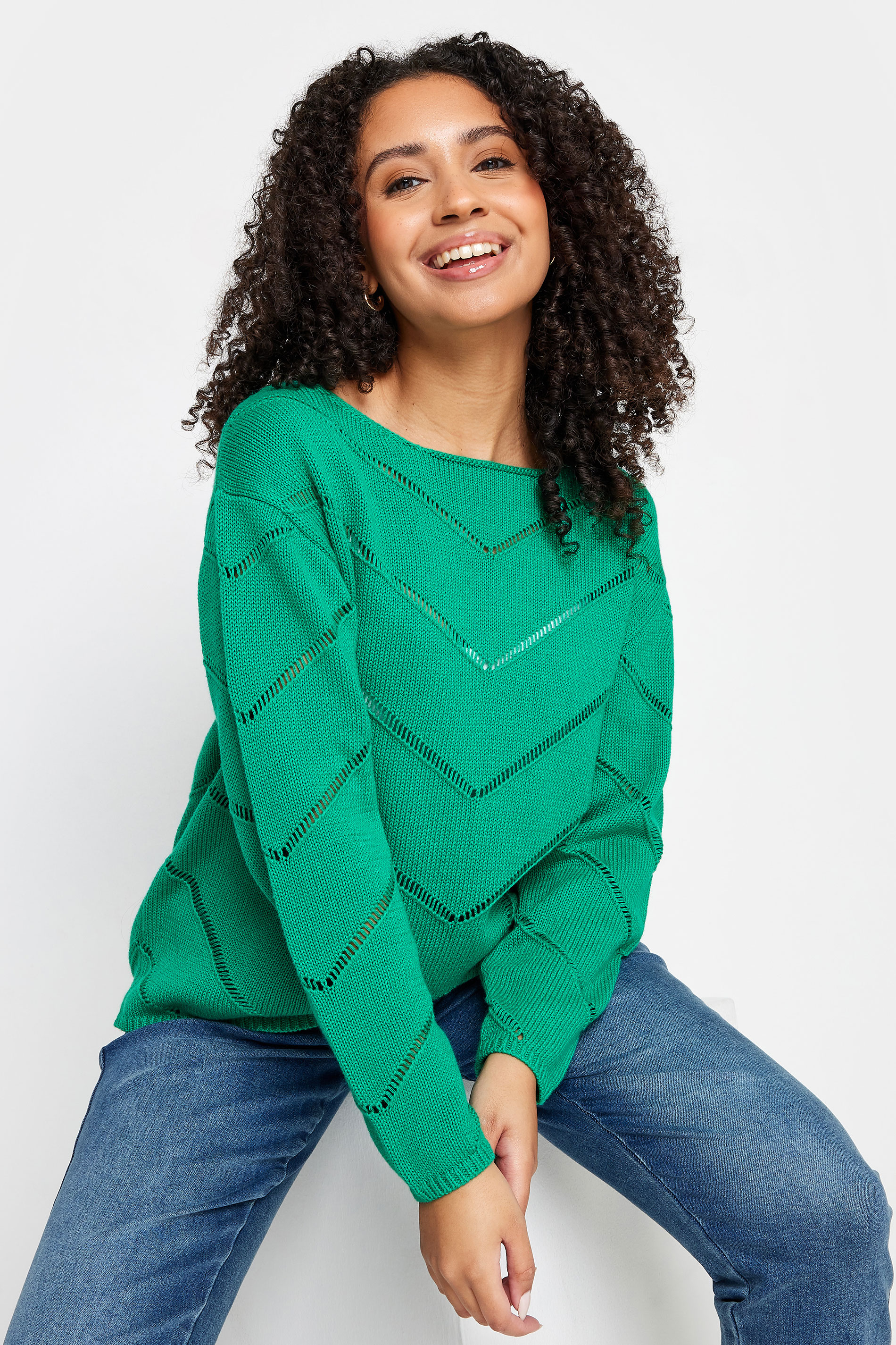 M&Co Petite Green V Patterned Knit Jumper | M&Co 1
