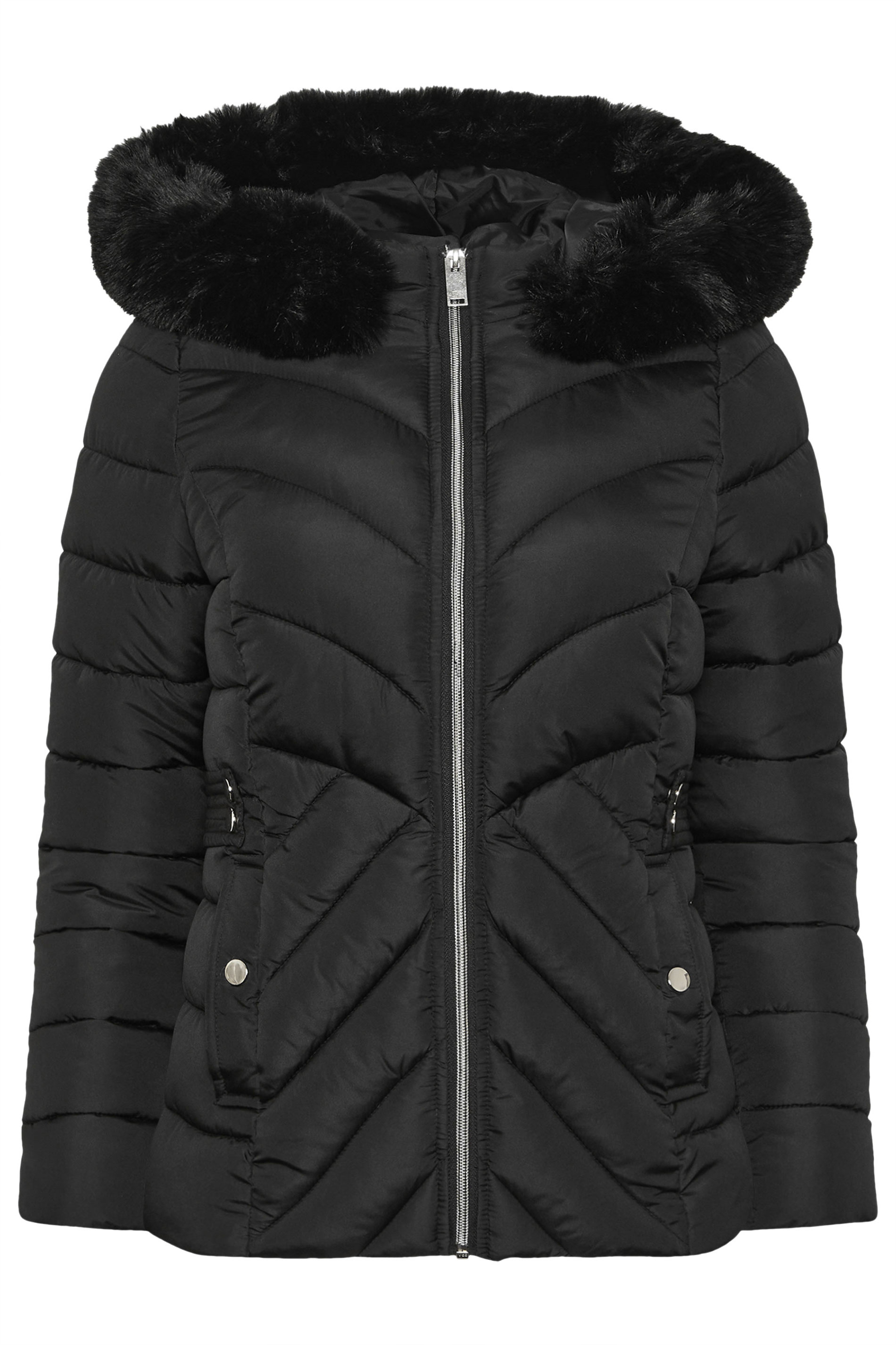 M&Co Petite Black Padded Puffer Jacket | M&Co 5