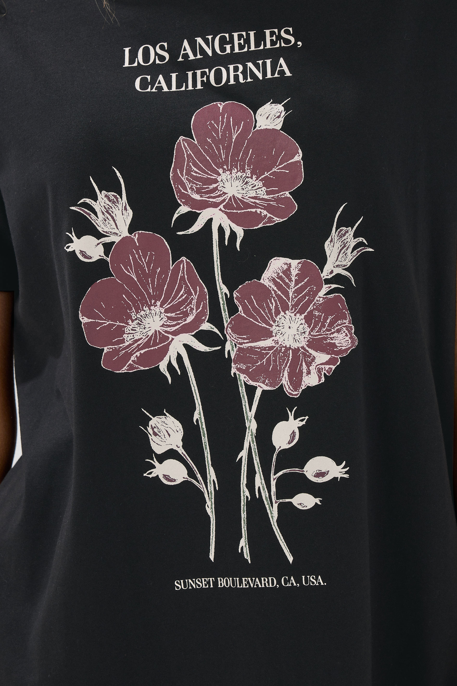 LTS Tall Black Flower Graphic Cotton T-Shirt | Long Tall Sally 4