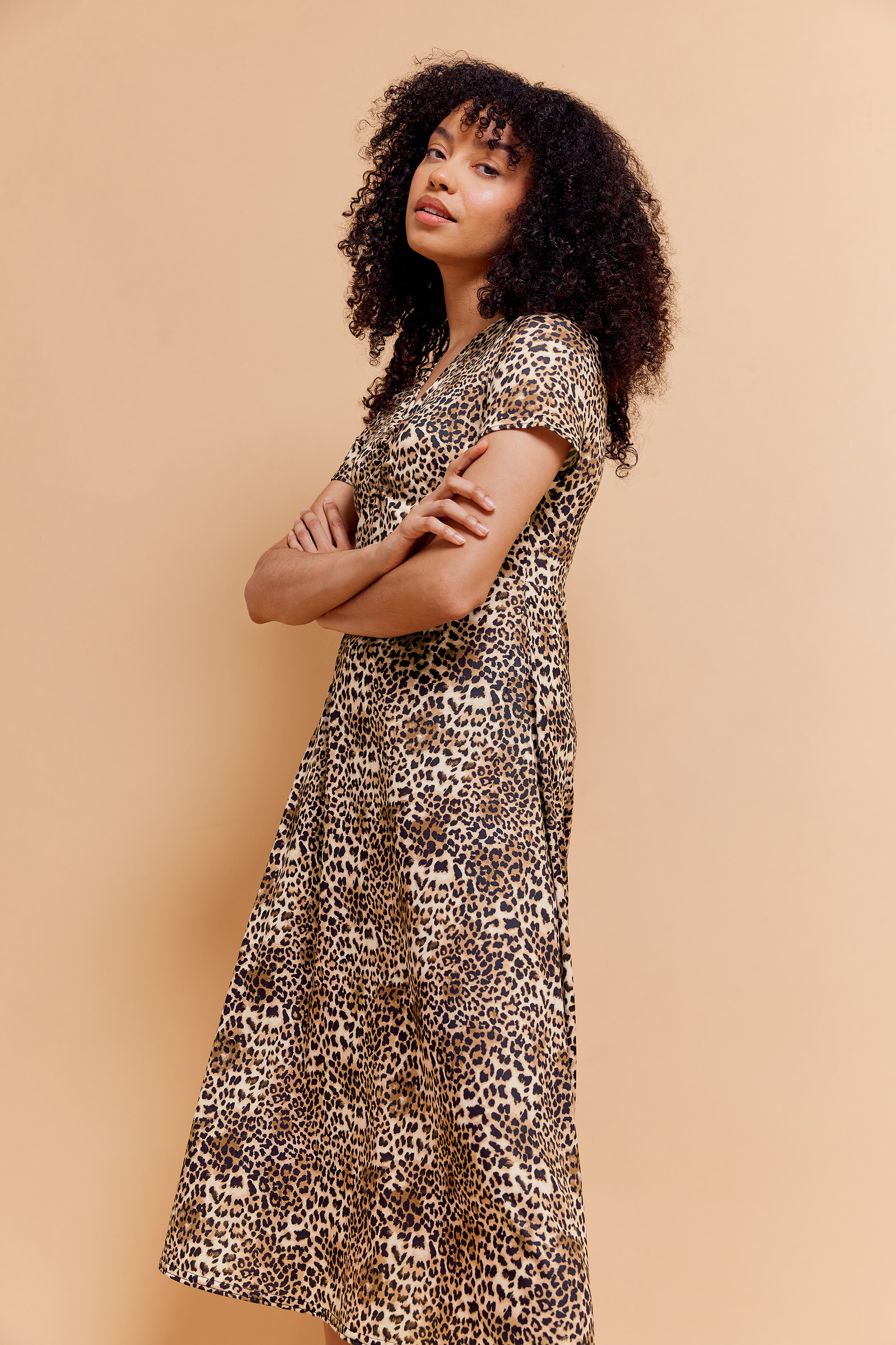 M&Co Brown Leopard Print V-Neck Dress | M&Co 1