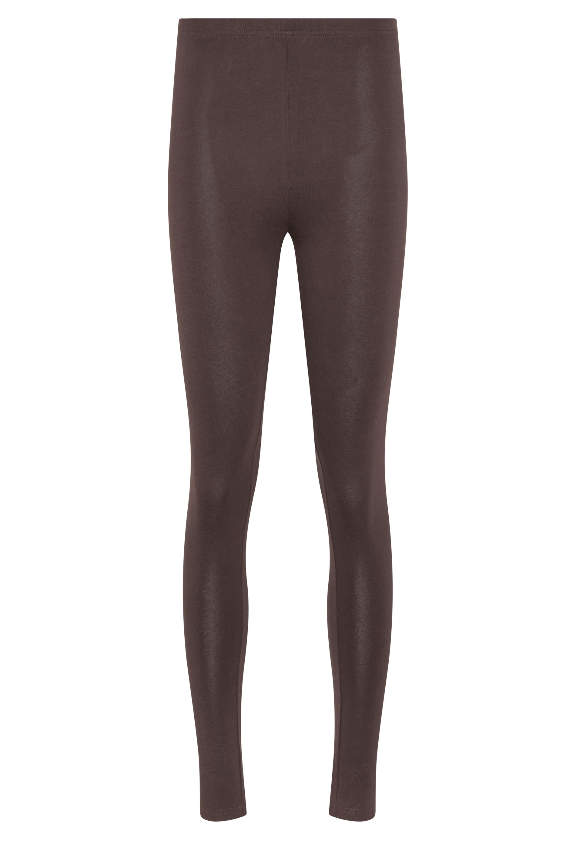 LTS Tall Women's Chocolate Brown Cotton Stretch Leggings | Long Tall Sally 5