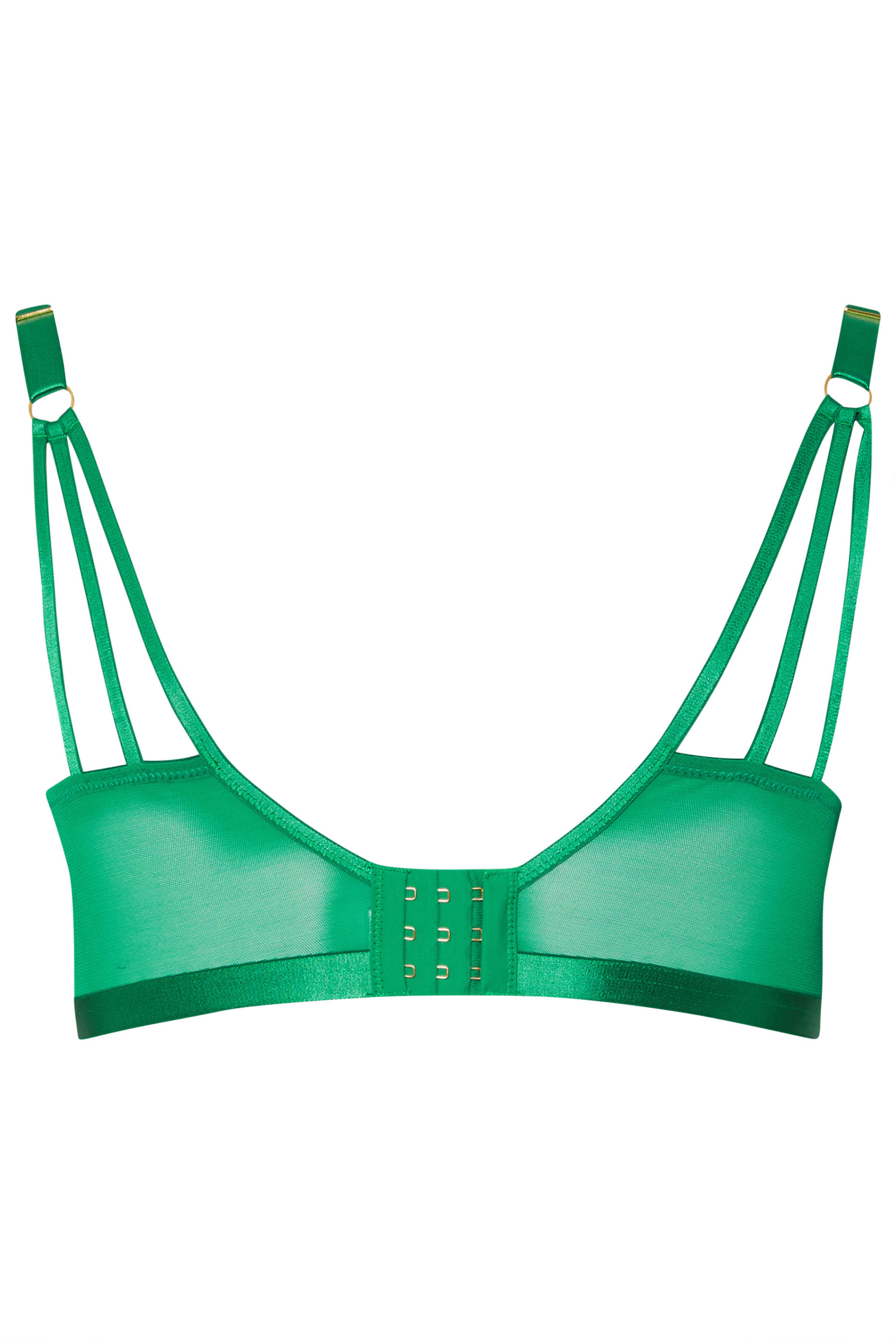 PLAYFUL PROMISES Plus Size Green Lace Embroidered Underwired Bra | Yours Clothing 6