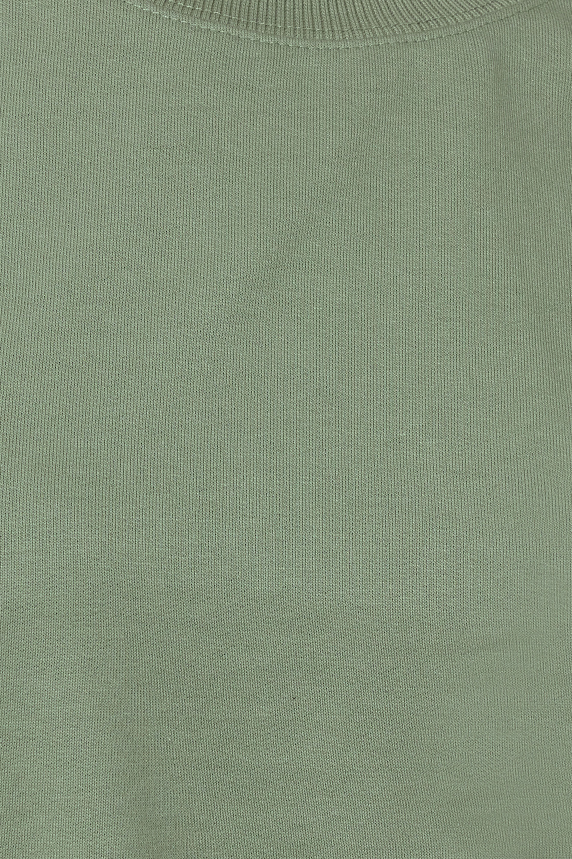 LTS Tall Sage Green Crew Neck Sweatshirt | Long Tall Sally 4