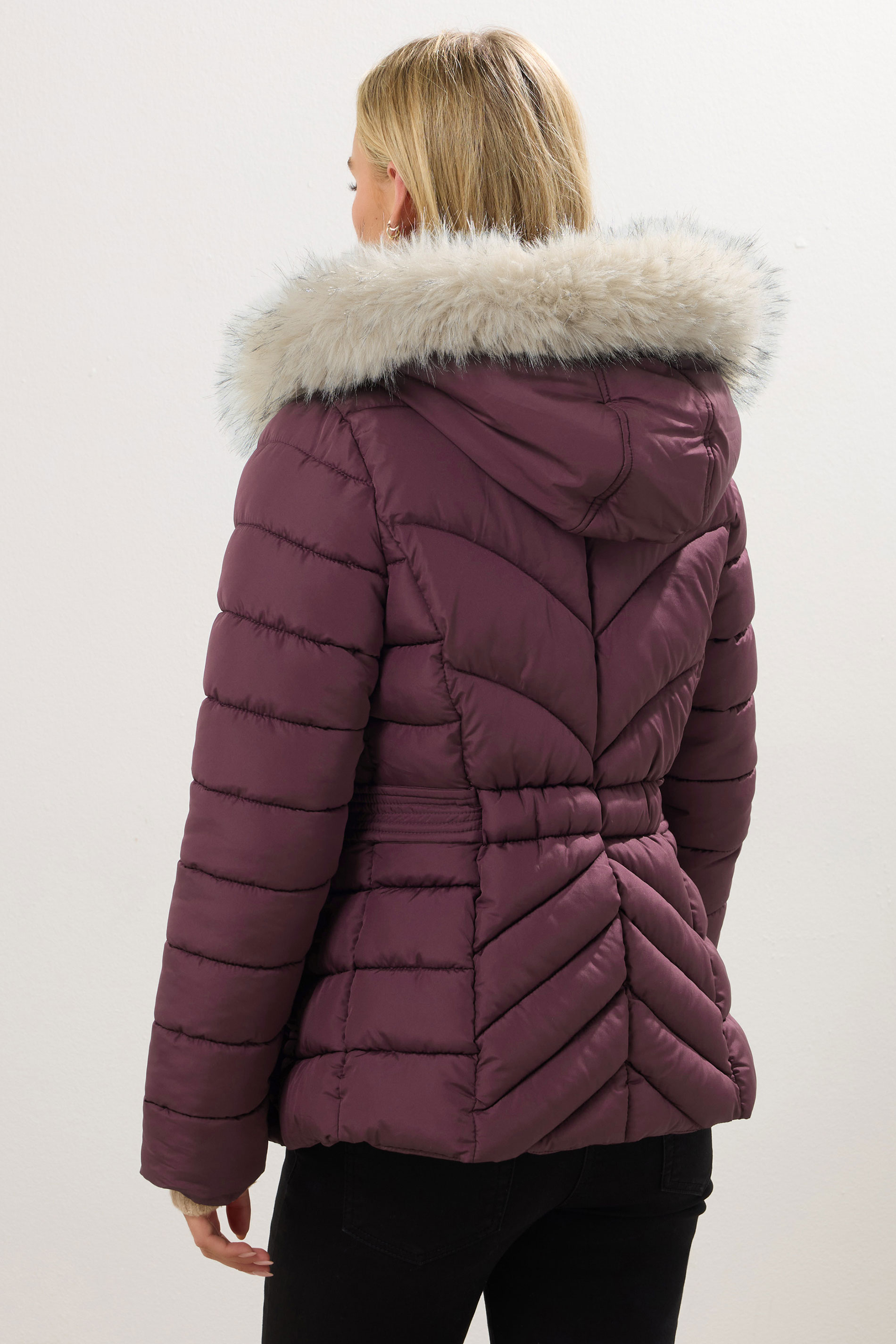 M&Co Petite Berry Red Padded Puffer Jacket | M&Co 4