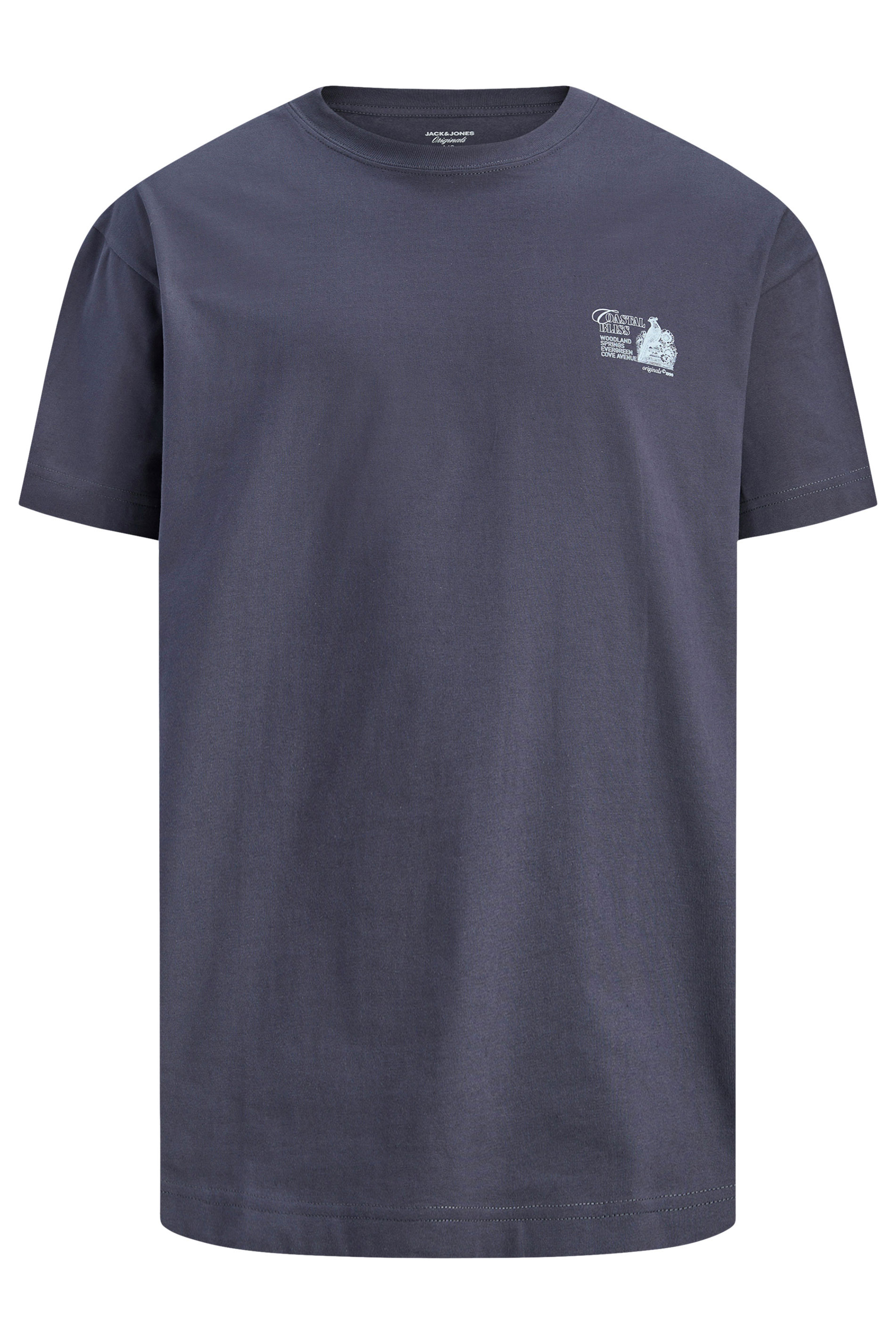 JACK & JONES Big & Tall Grey Crew Neck Back Graphic Tee | BadRhino 4